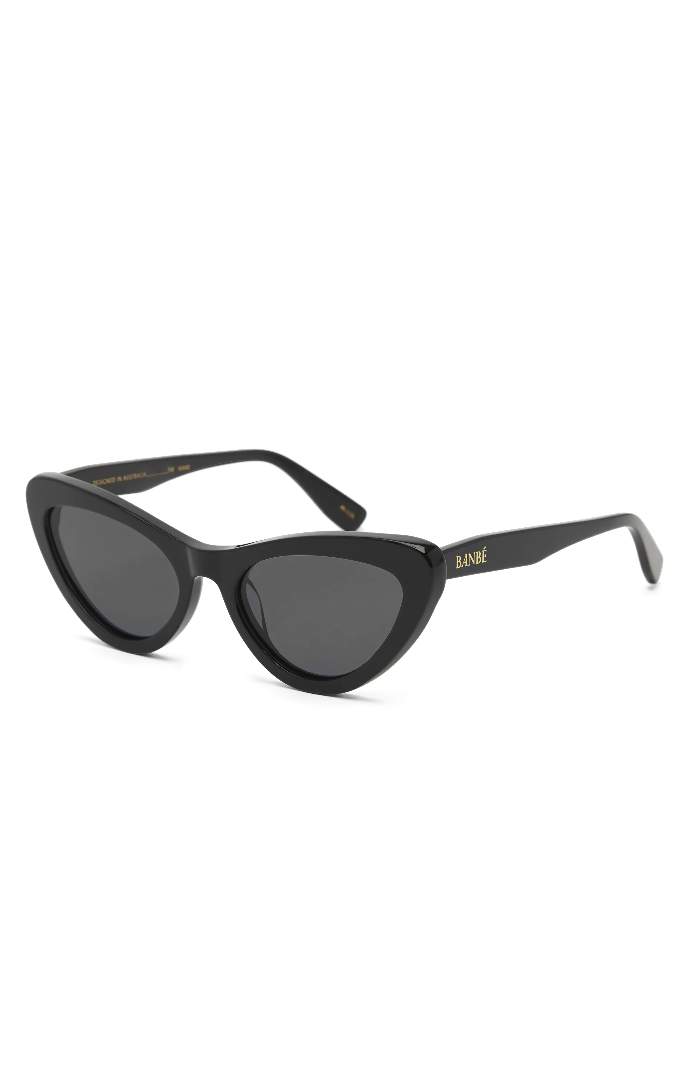 Banbè Eyewear The Ward Sunglasses ~ Black